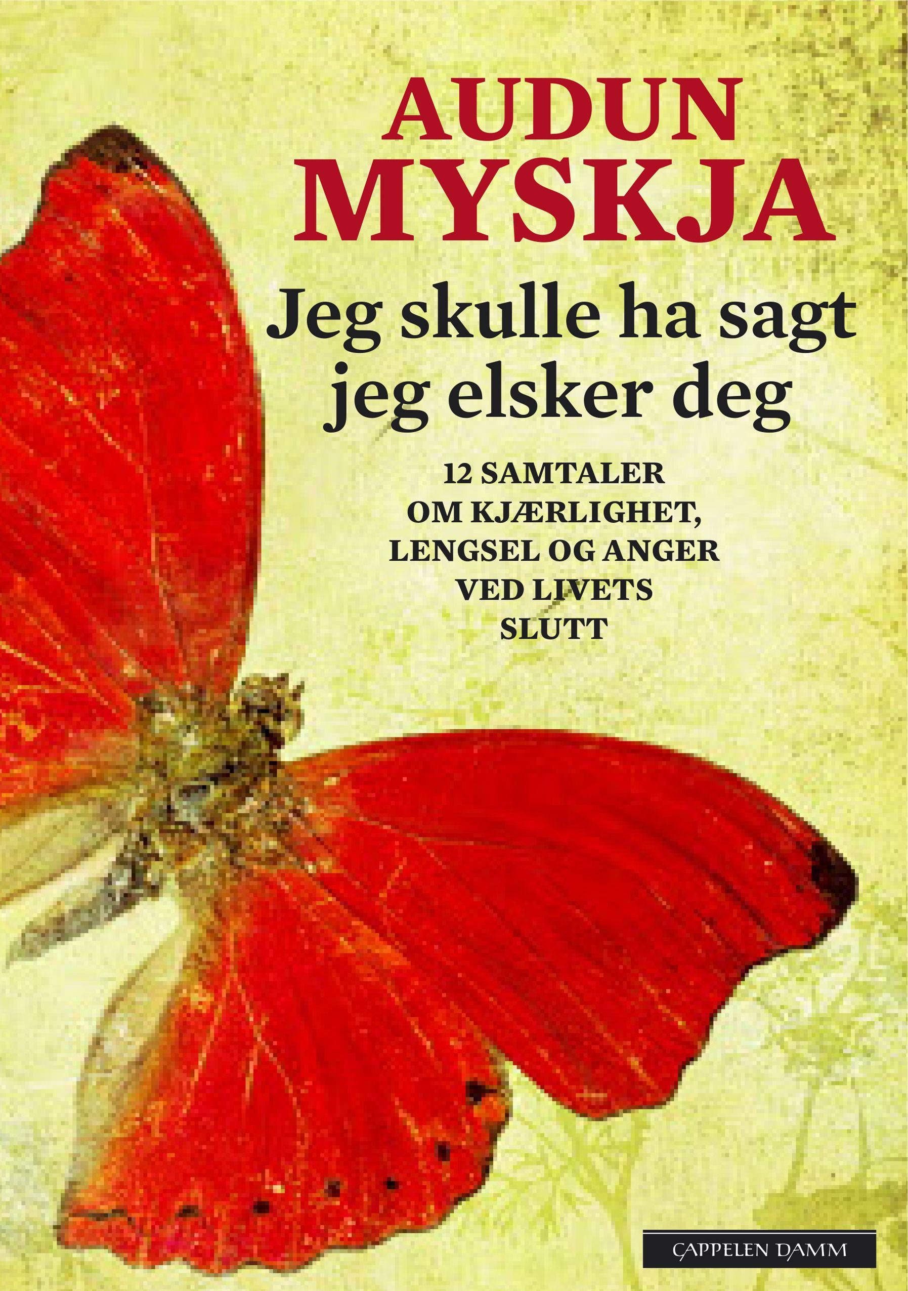 Jeg skulle ha sagt jeg elsker deg : 12 samtaler om kjærlighet, lengsel og anger ved livets slutt