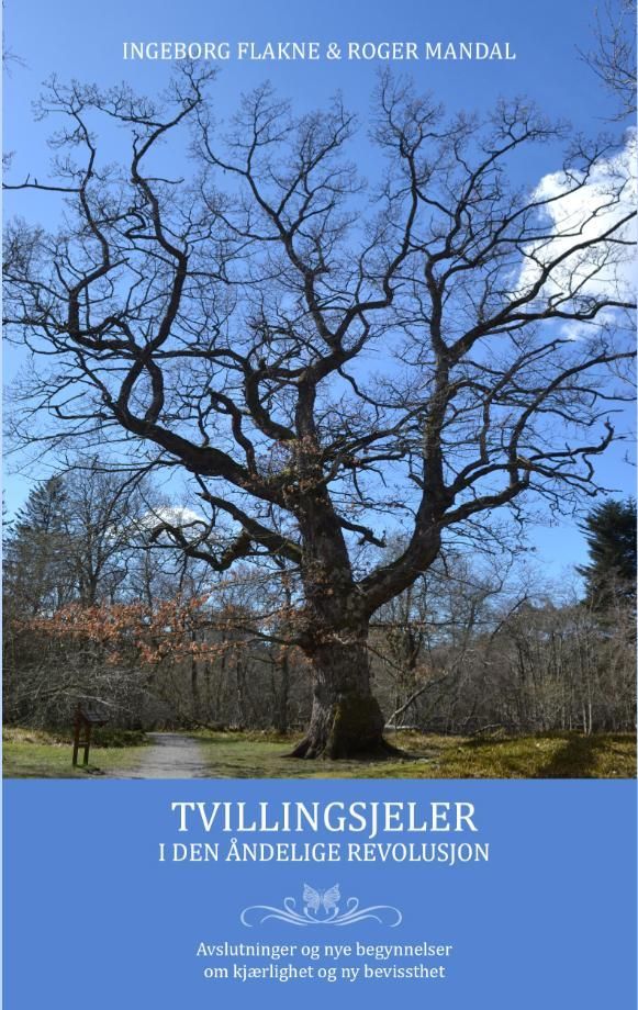 Tvillingsjeler i den åndelige revolusjon : avslutninger og nye begynnelser : om kjærlighet og ny bevissthet