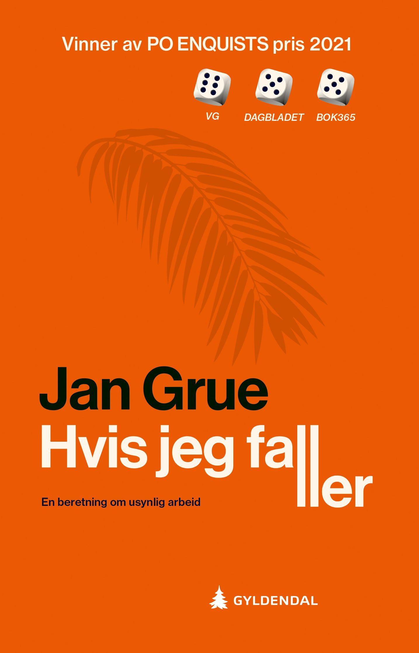 Hvis jeg faller : en beretning om usynlig arbeid