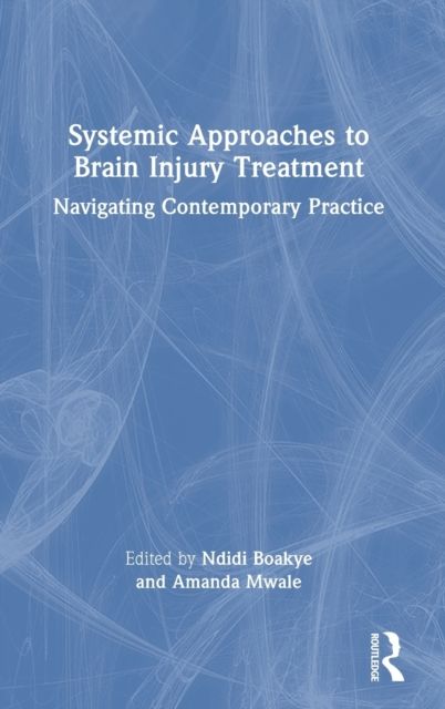Systemic Approaches to Brain Injury Treatment : Navigating Contemporary Practice