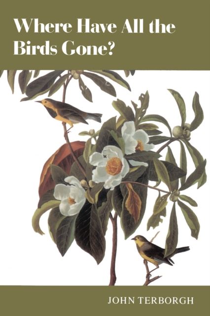 Where Have All the Birds Gone? : Essays on the Biology and Conservation of Birds That Migrate to the American Tropics