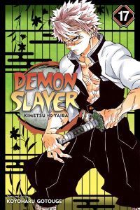 Demon slayer : Kimetsu no yaiba. 17. Successors
