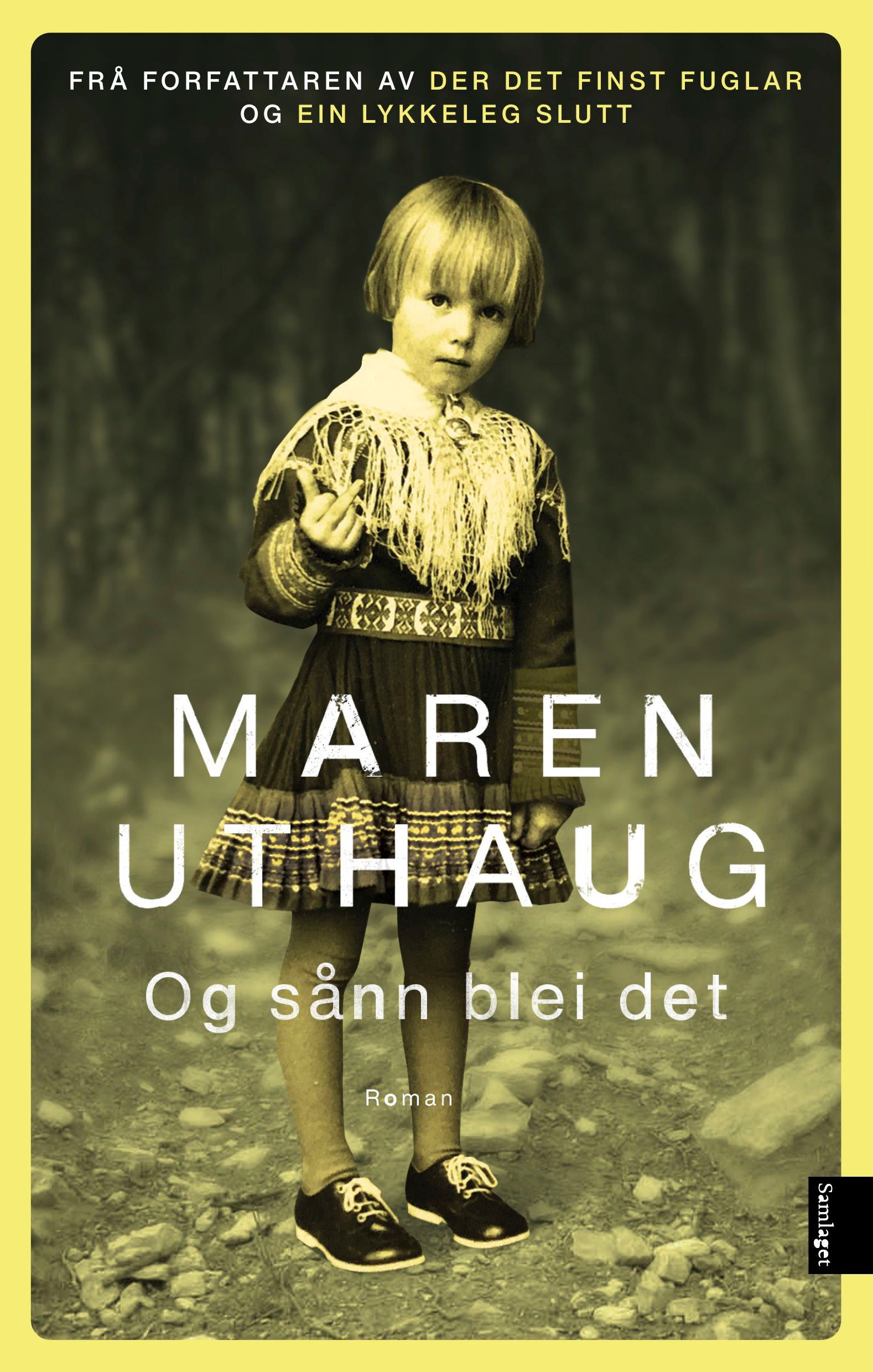 Og sånn blei det : roman
