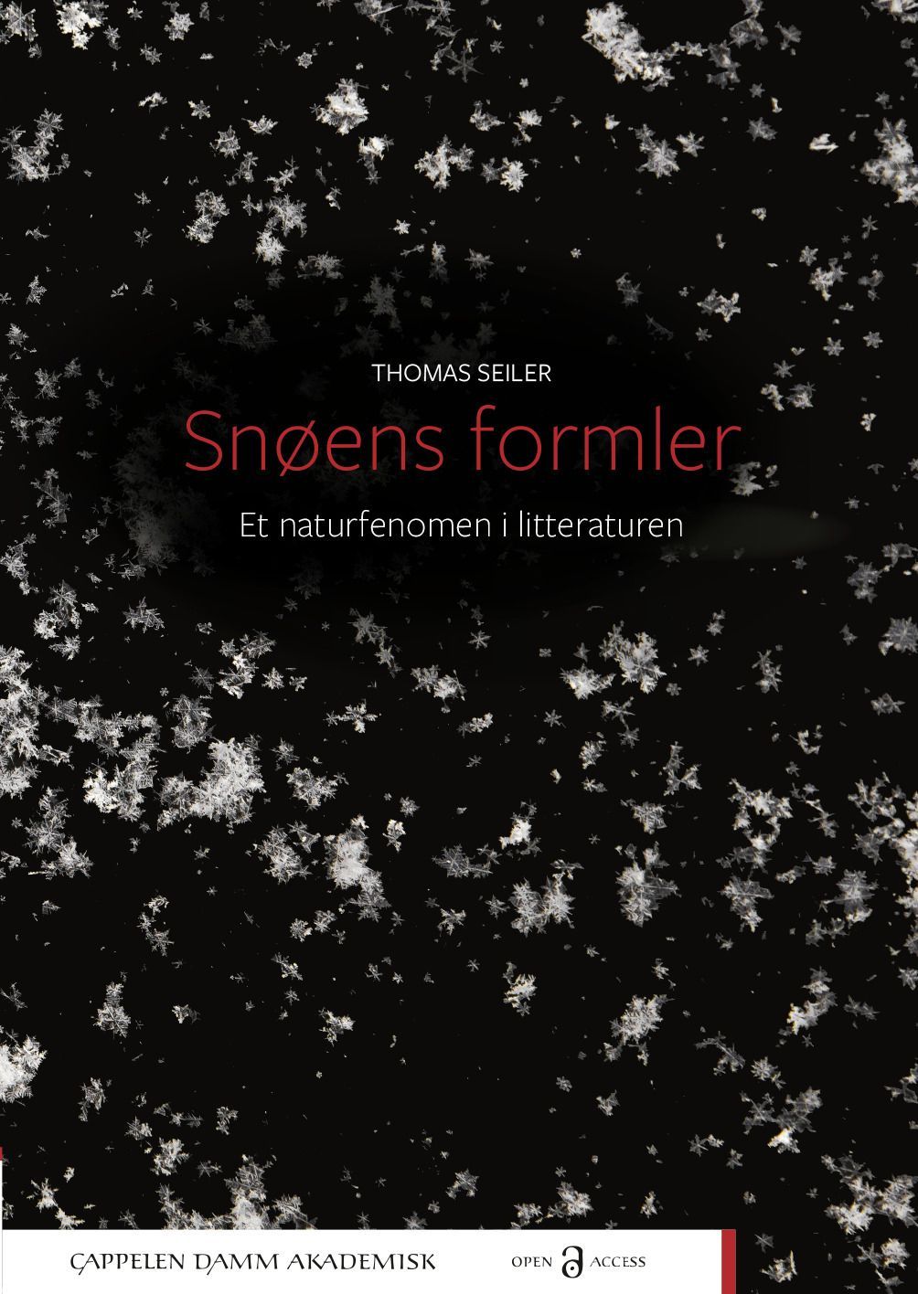 Snøens formler : et naturfenomen i litteraturen