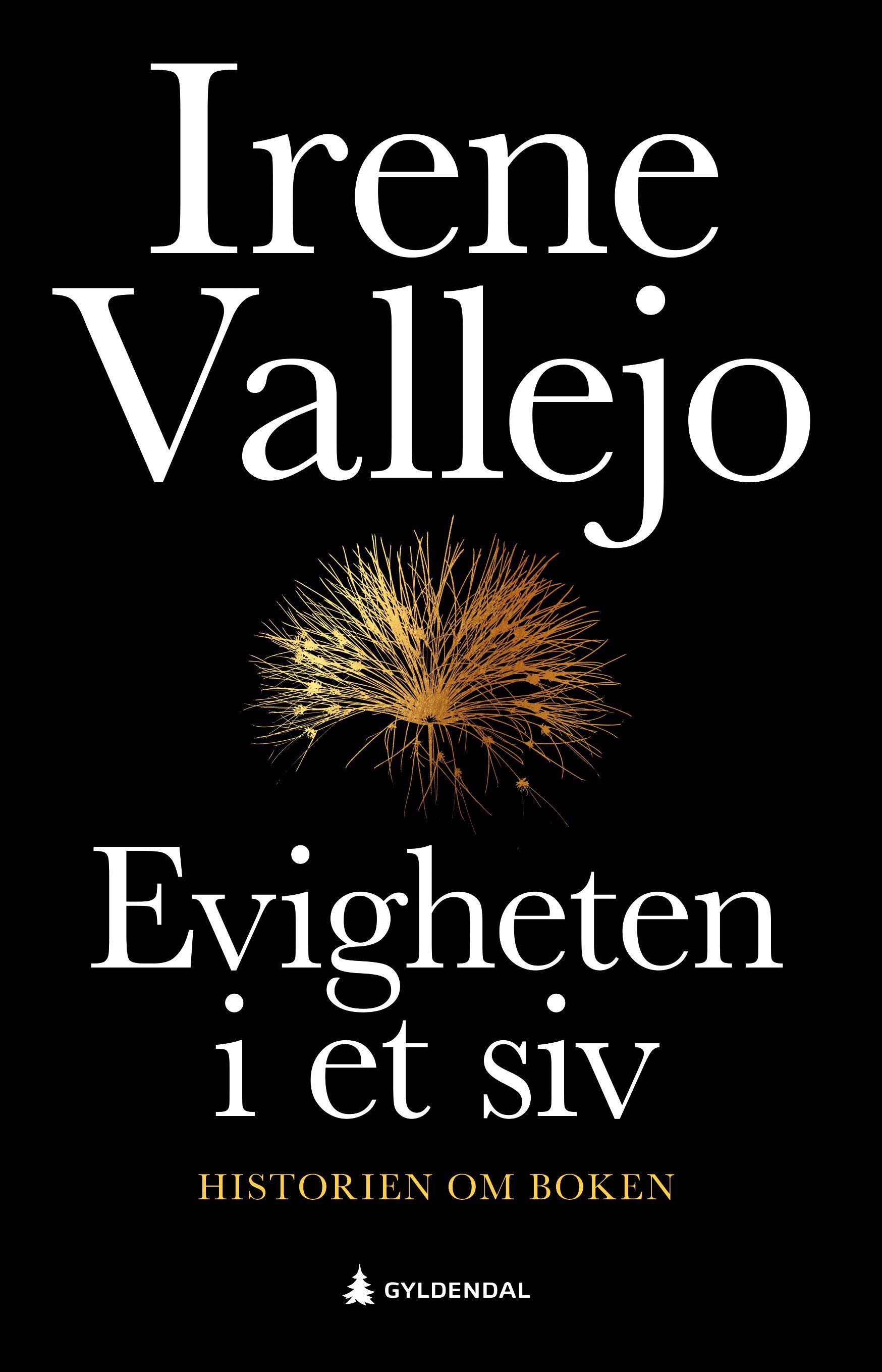 Evigheten i et siv : historien om boken