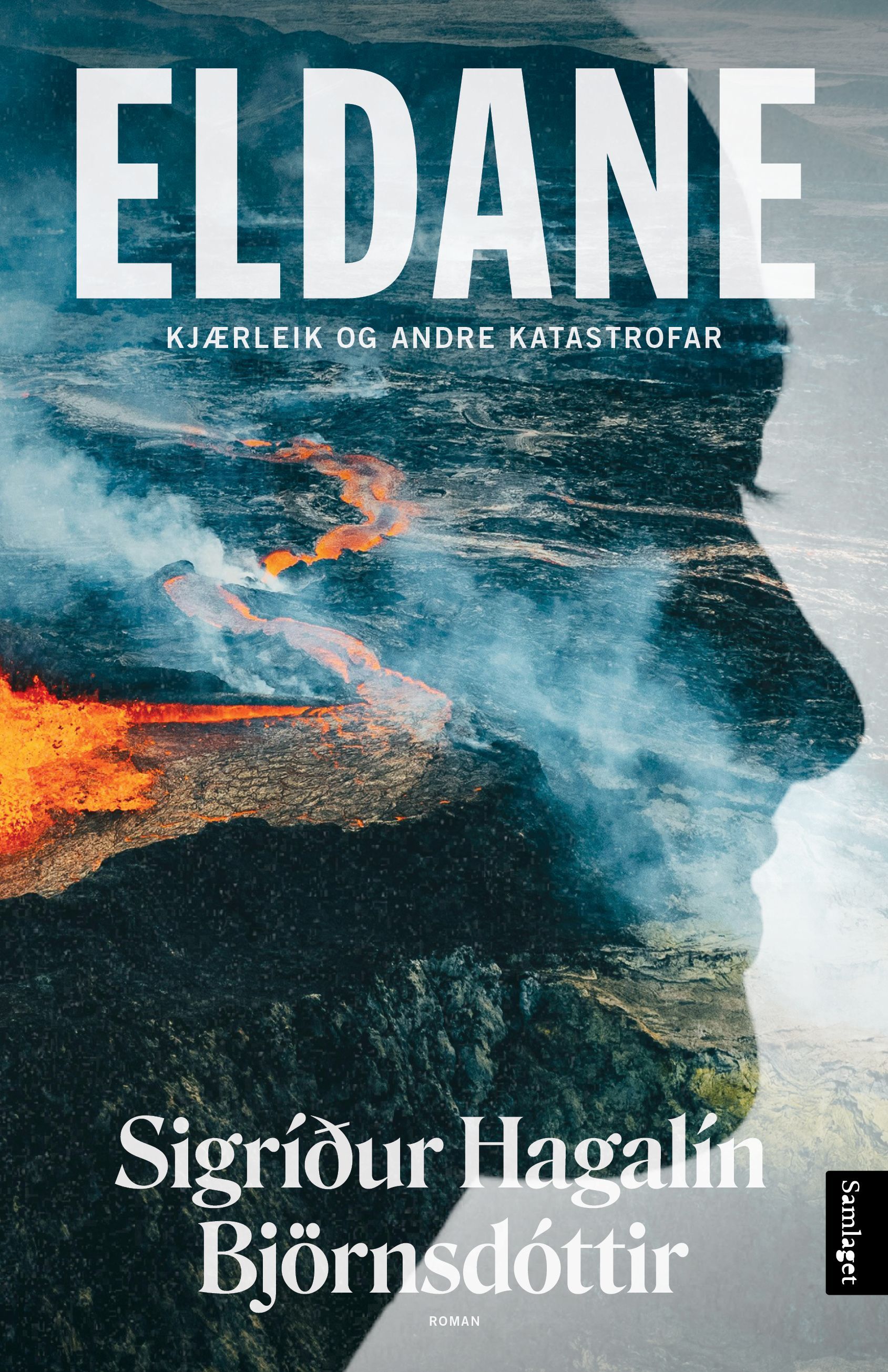 Eldane : kjærleik og andre katastrofar : roman