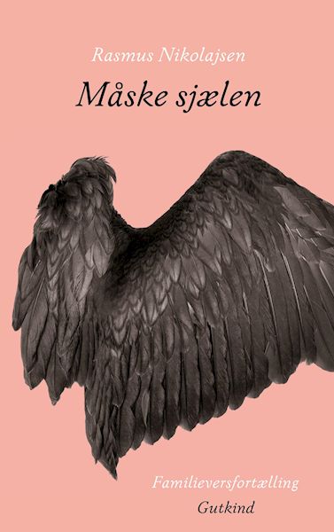 Måske sjælen : familieversfortælling