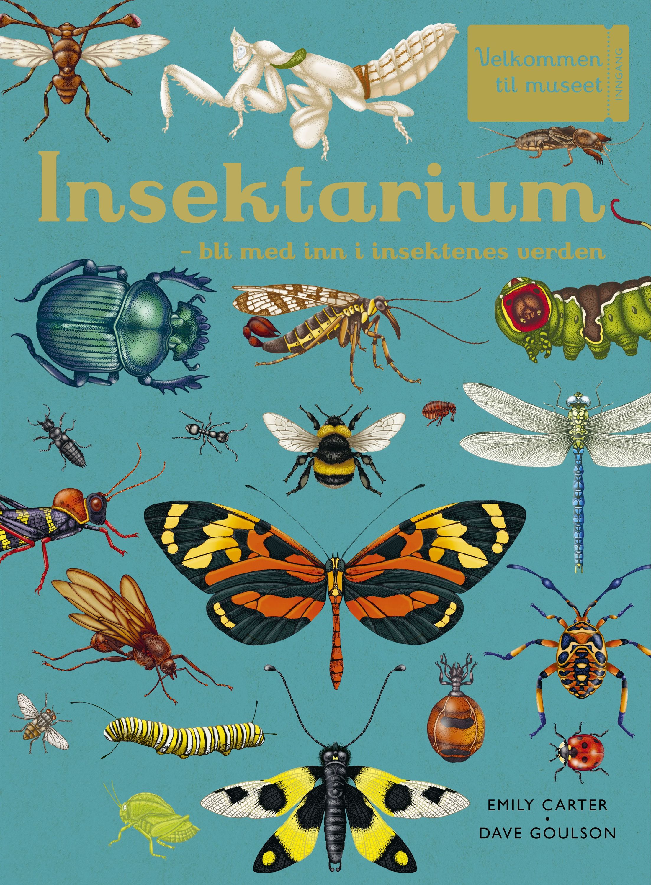 Insektarium : bli med inn i insektenes verden