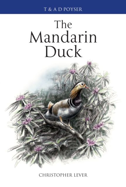 The Mandarin Duck