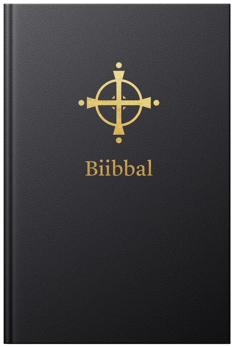 Biibbal : Bassi čala : Boares ja Ođđa testamenta