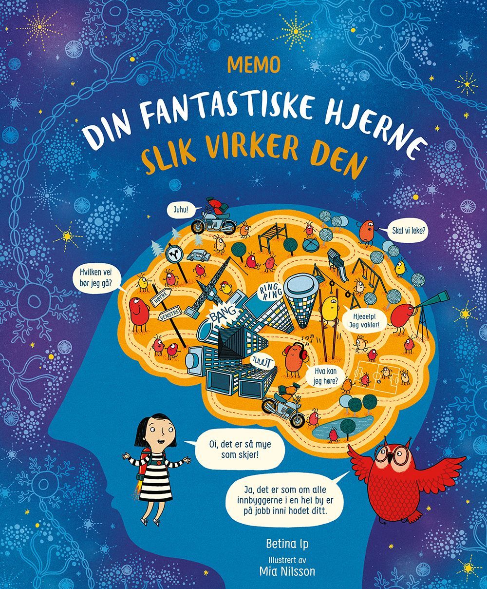 Din fantastiske hjerne : slik virker den