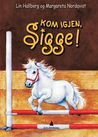 Mer å lese