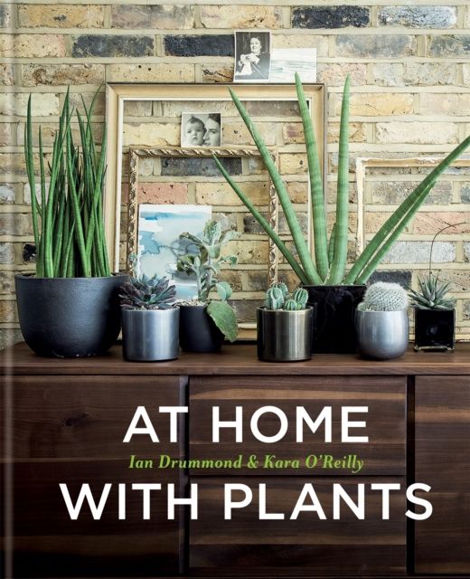 At Home with Plants : Transform Your Home with Plants
