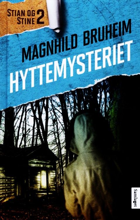 Hyttemysteriet : roman