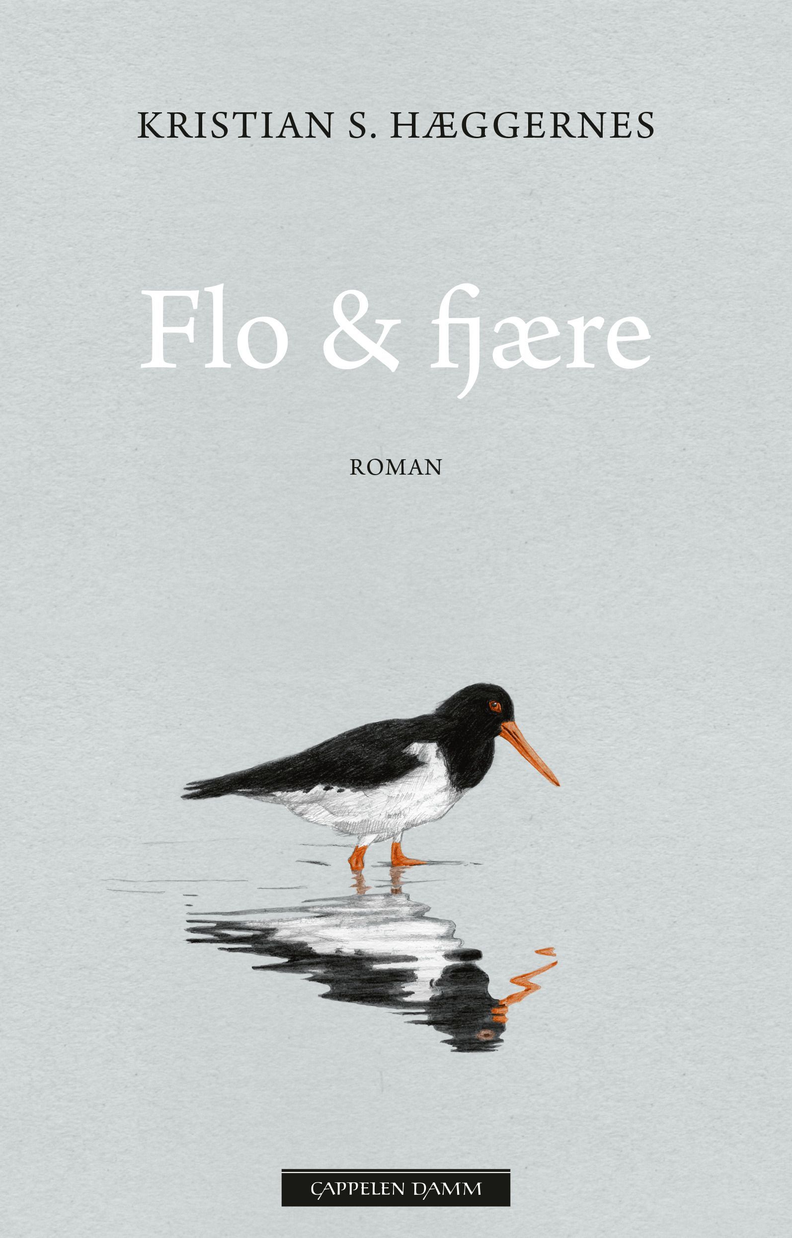 Flo & fjære : roman