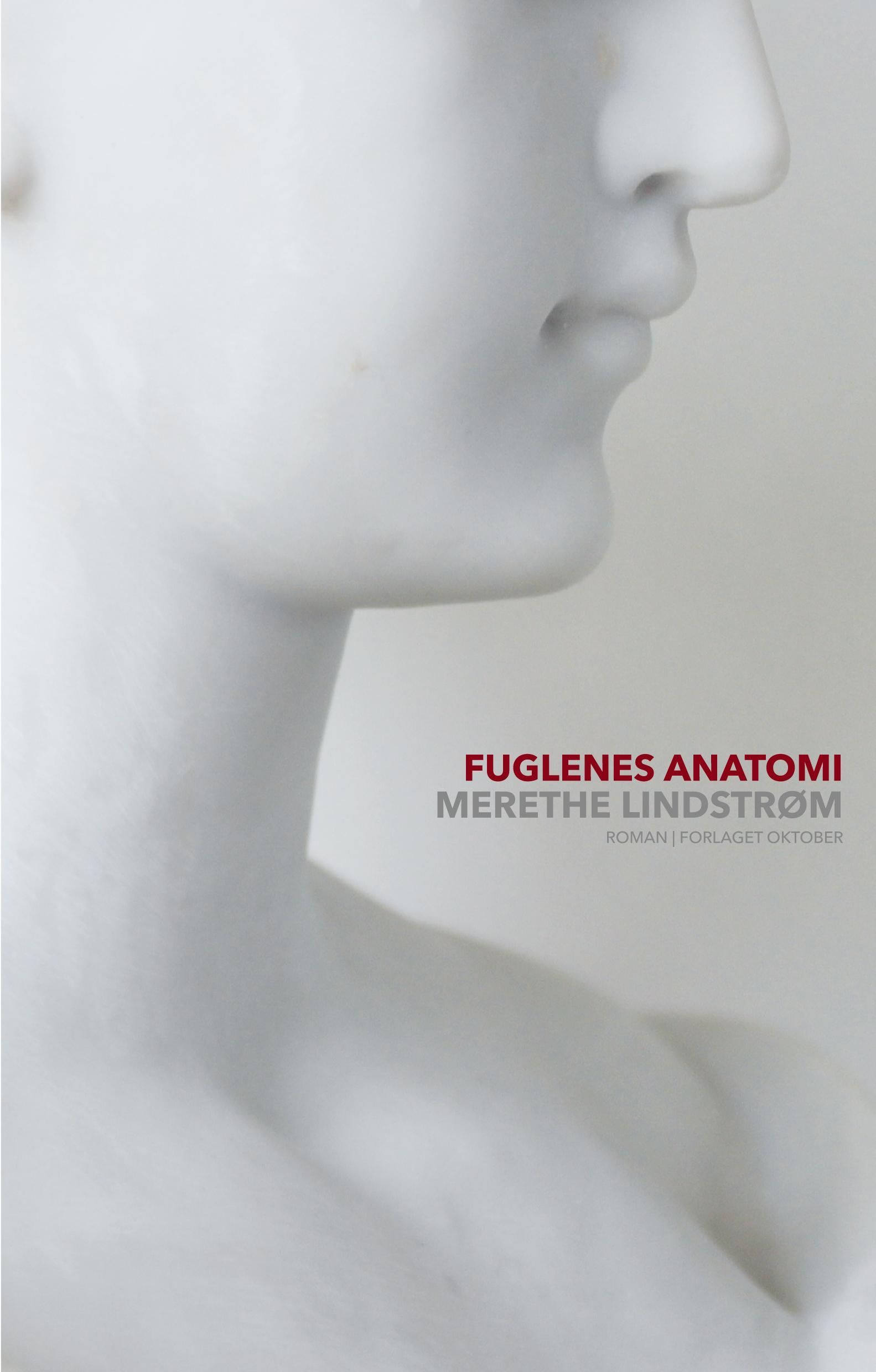 Fuglenes anatomi : roman
