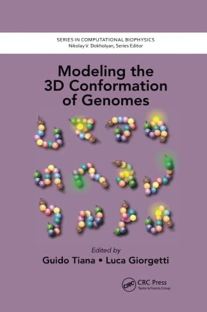 Modeling the 3D Conformation of Genomes