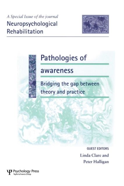Pathologies of Awareness: Bridging the Gap between Theory and Practice : A Special Issue of Neuropsychological Rehabilitation