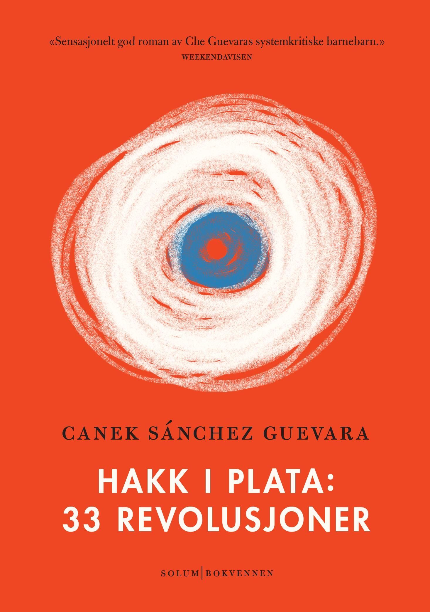 Hakk i plata : 33 revolusjoner : roman