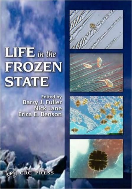 Life in the Frozen State