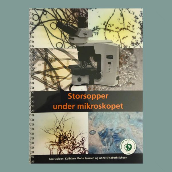 Storsopper under mikroskopet