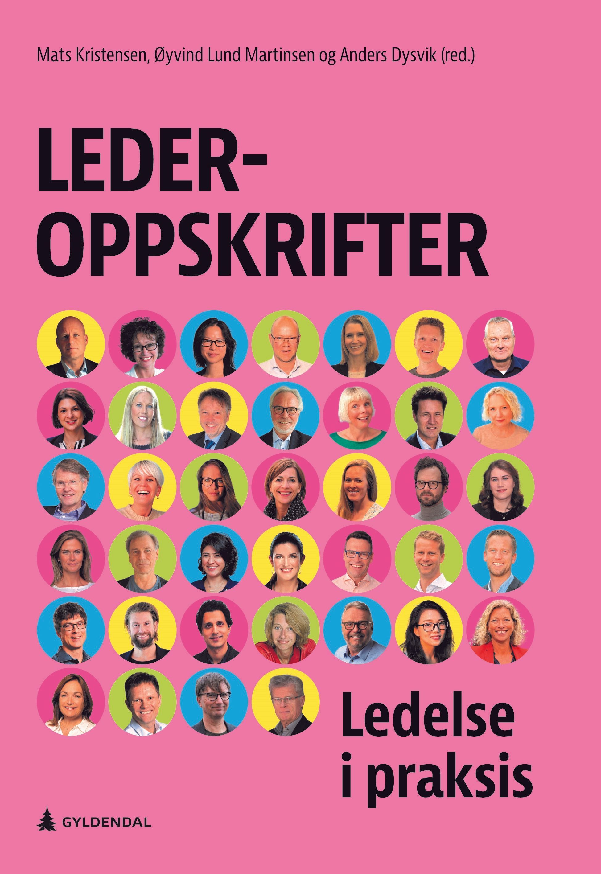 Lederoppskrifter : ledelse i praksis