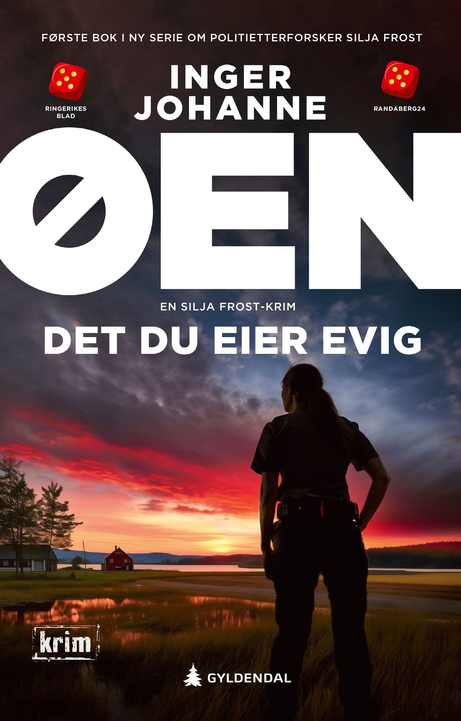 Forsidebilde av Det du eier evig : en politiroman