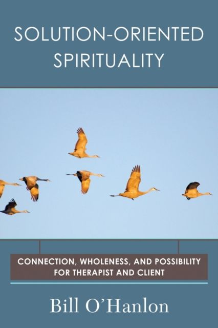 Solution-Oriented Spirituality : Connection, Wholeness, and Possibility for Therapist and Client