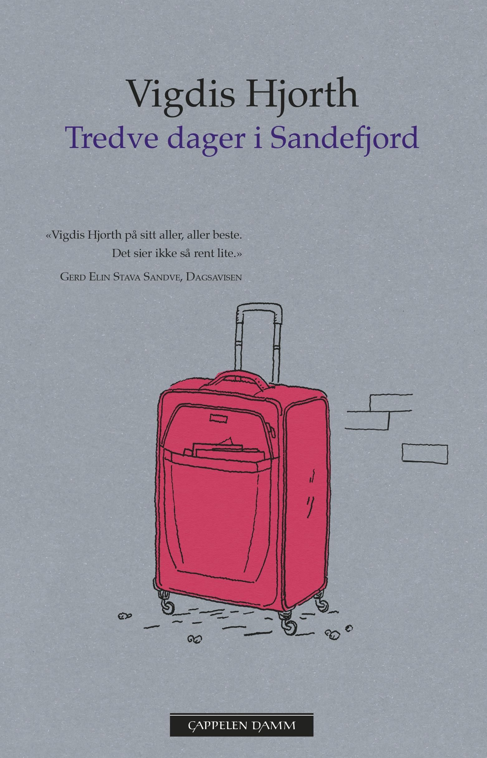 Tredve dager i Sandefjord : roman