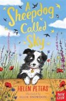 A sheepdog called Sky