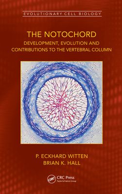 The Notochord : Development, Evolution and contributions to the vertebral column