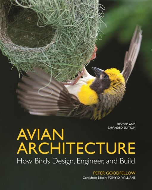 Avian Architecture  Revised and Expanded Edition : How Birds Design, Engineer, and Build