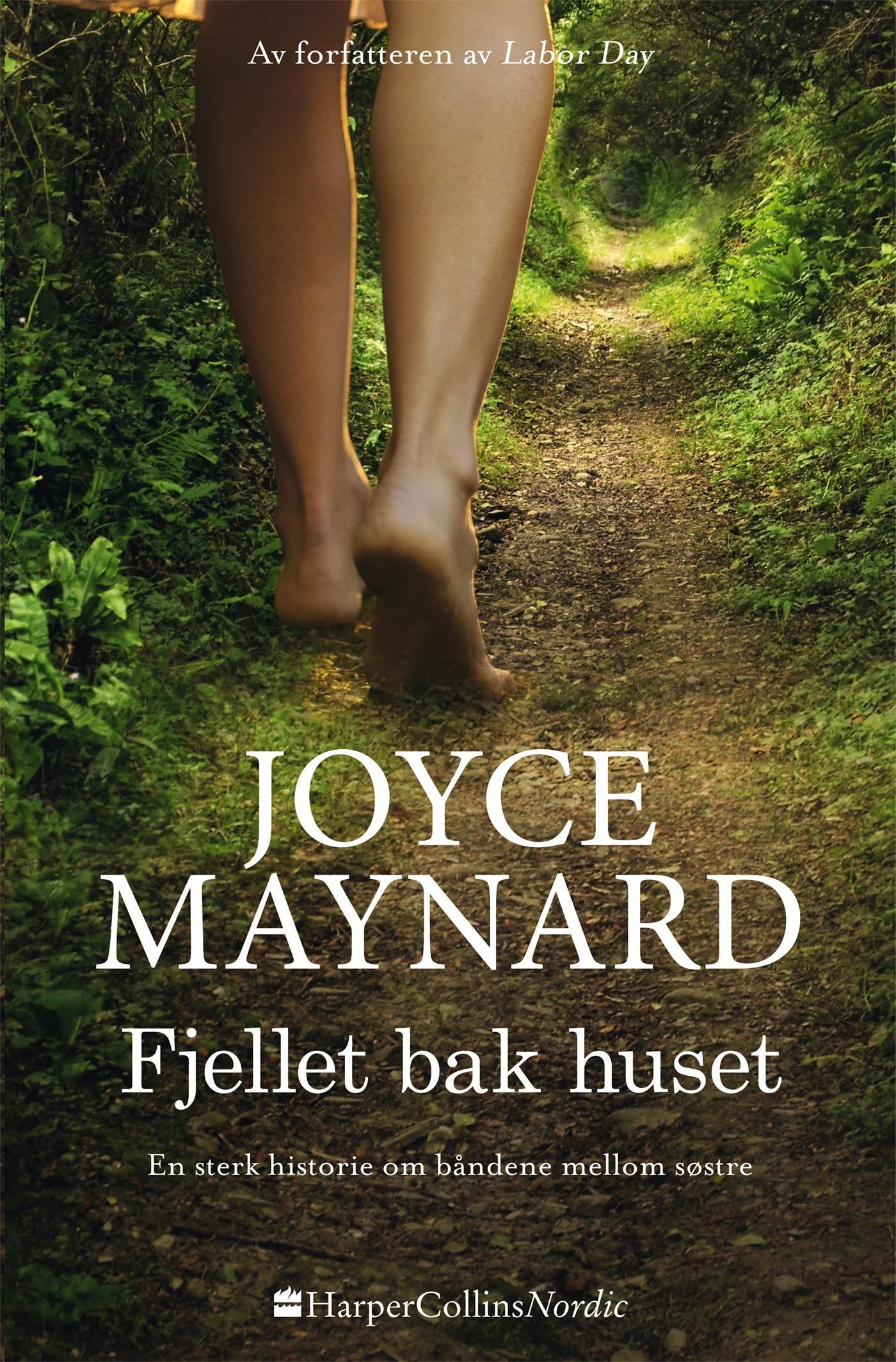 Forsidebilde av Fjellet bak huset