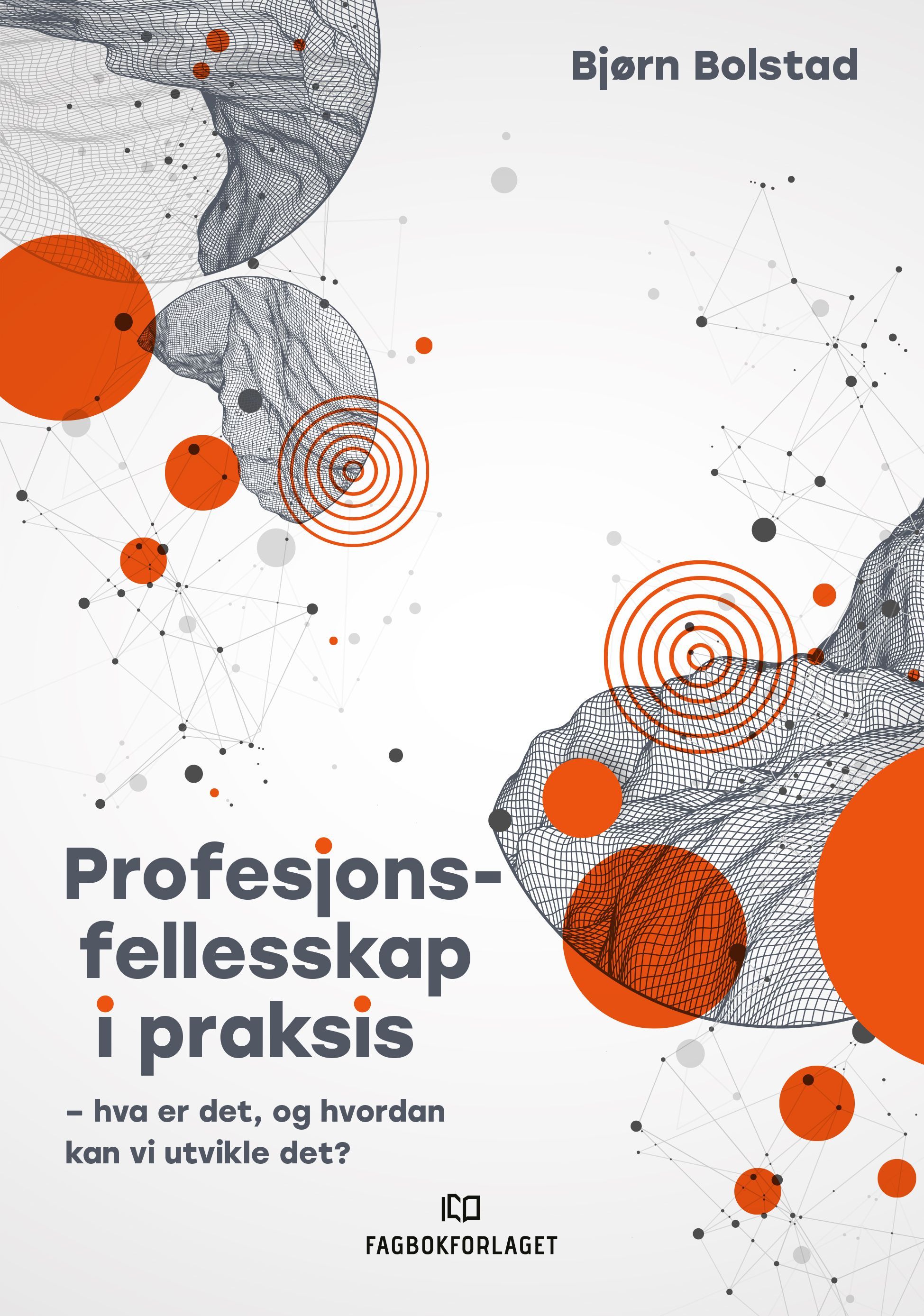 Profesjonsfellesskap i praksis : hva er det, og hvordan kan vi utvikle det?