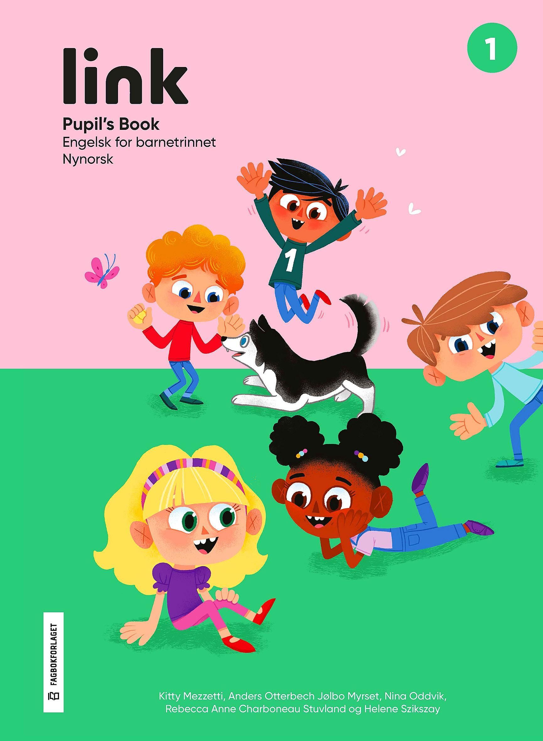 Link 1. Pupil's book