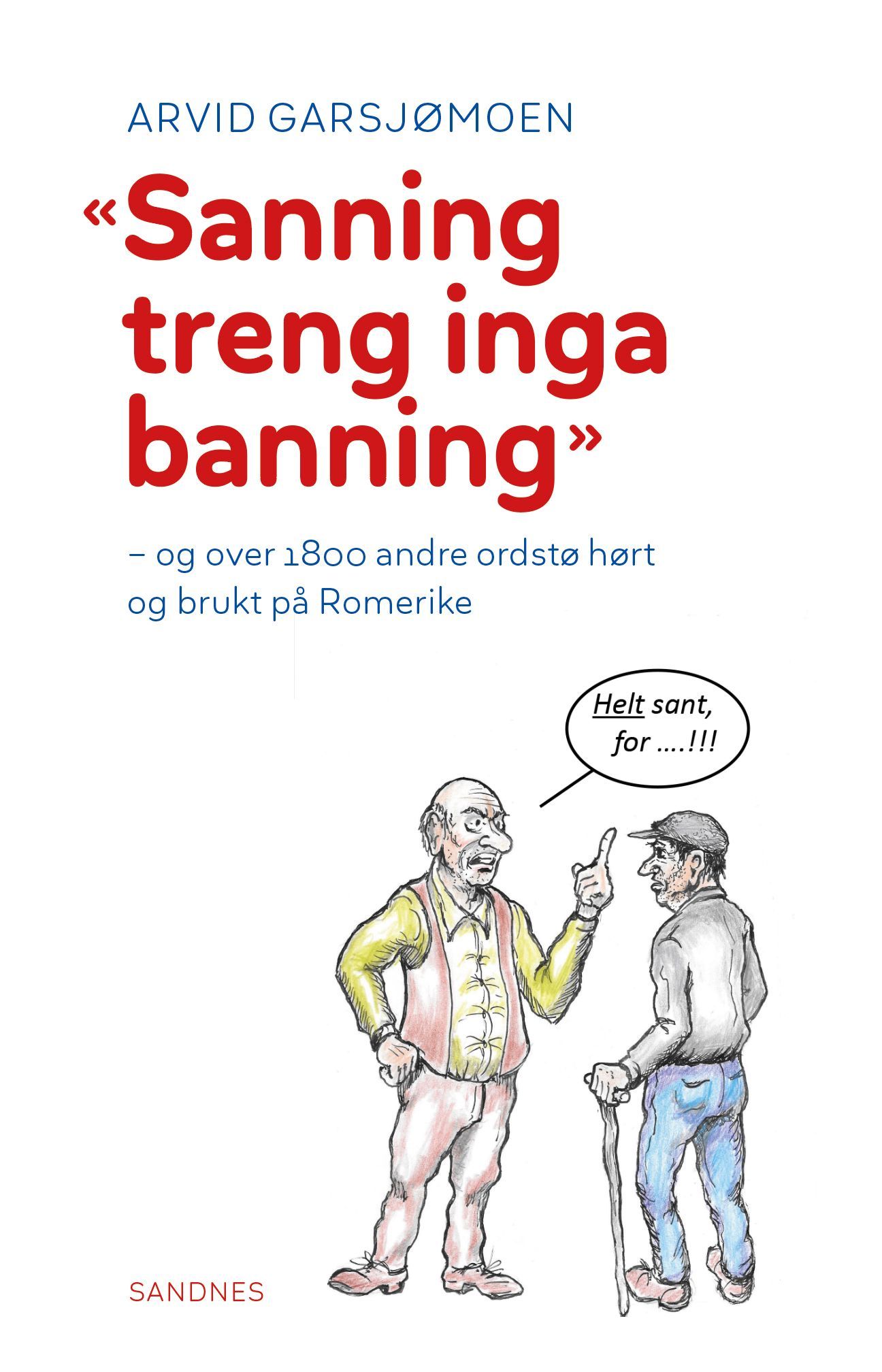 Sanning treng inga banning : og over 1800 andre ordstø hørt og brukt på Romerike