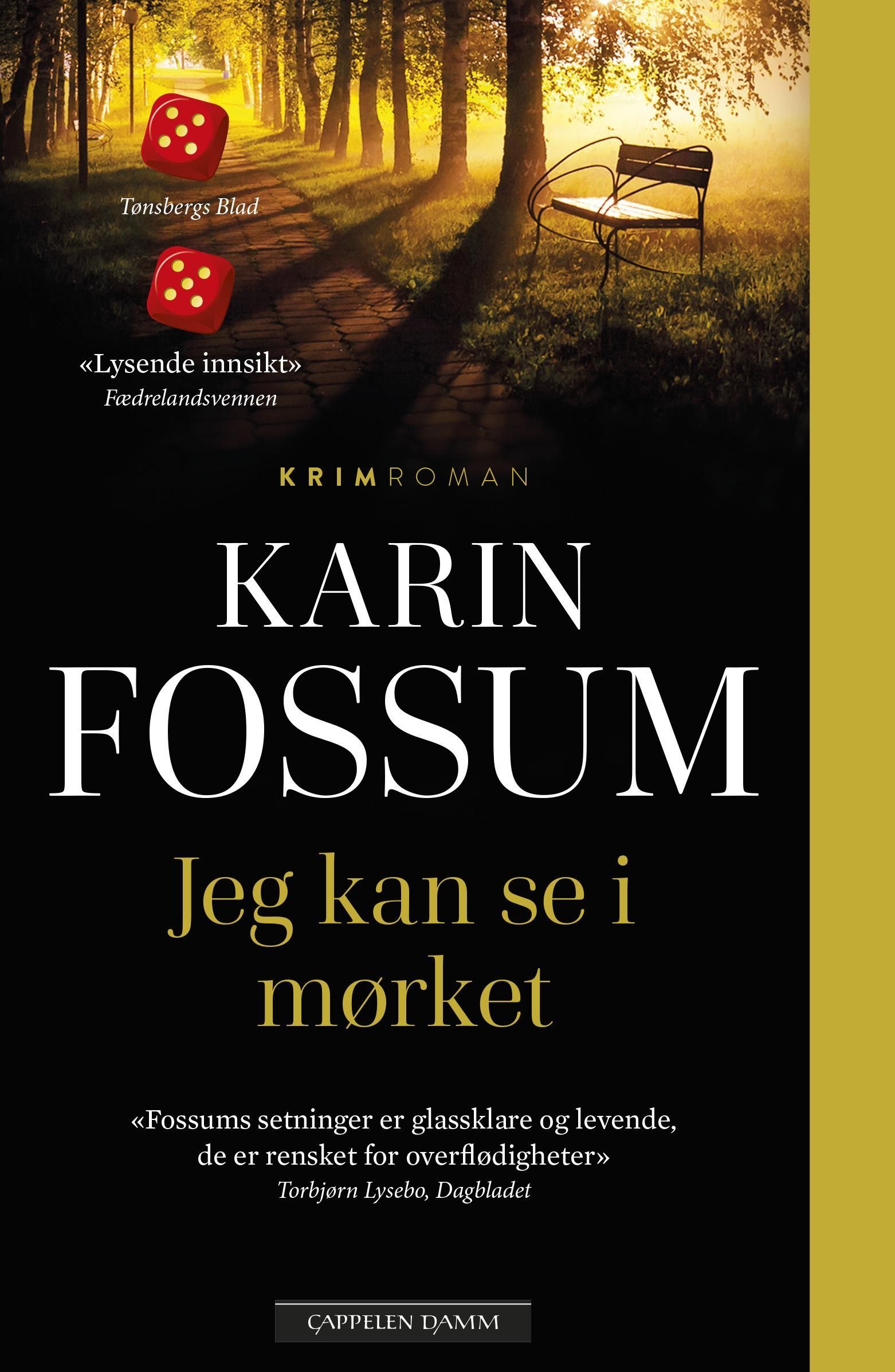 Jeg kan se i mørket : roman