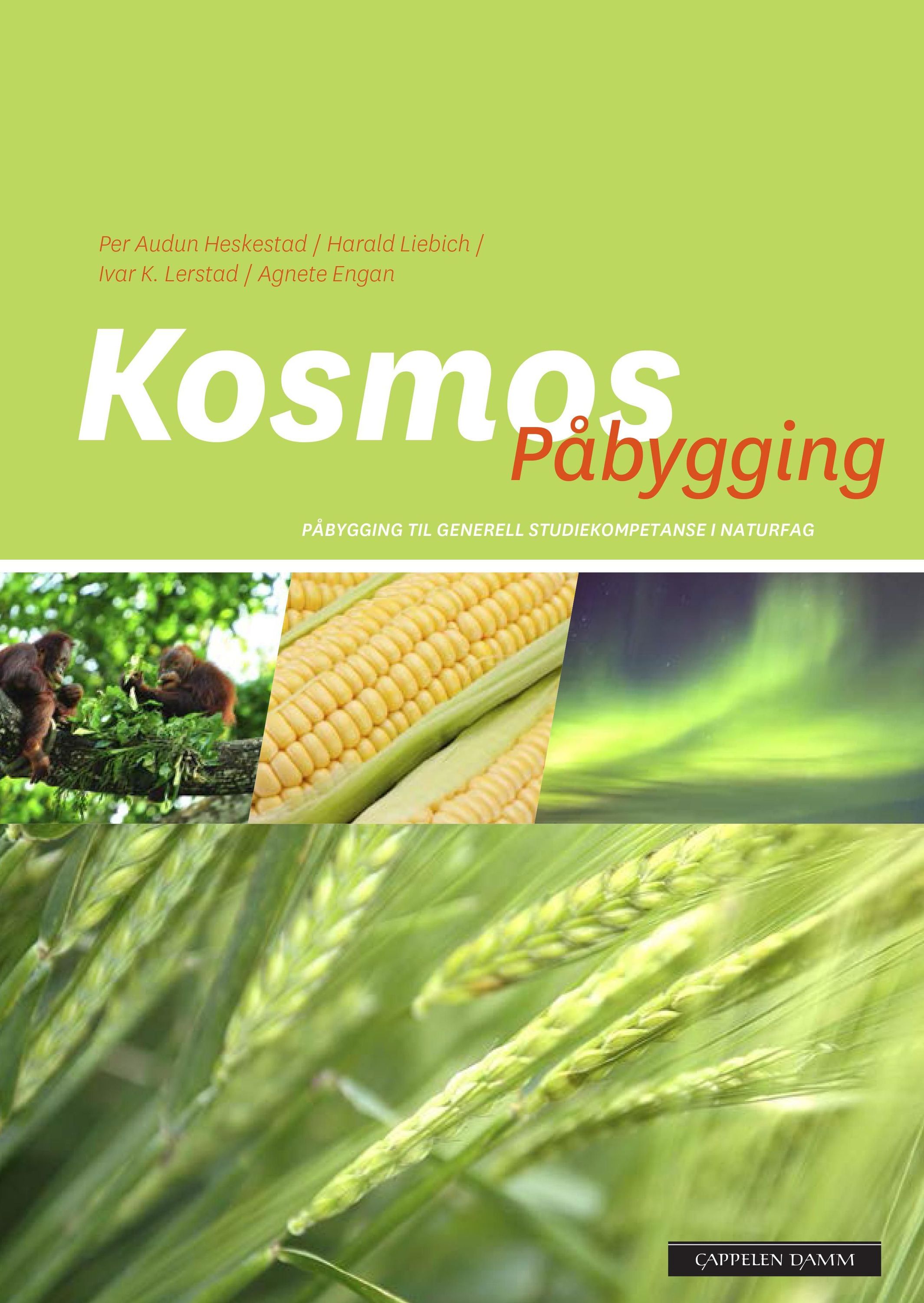 Kosmos påbygging : påbygging til generell studiekompetanse i naturfag