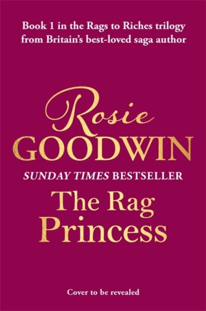 The Rag Princess : The first book in the brand-new Rags to Riches trilogy from Britain's best-loved saga author