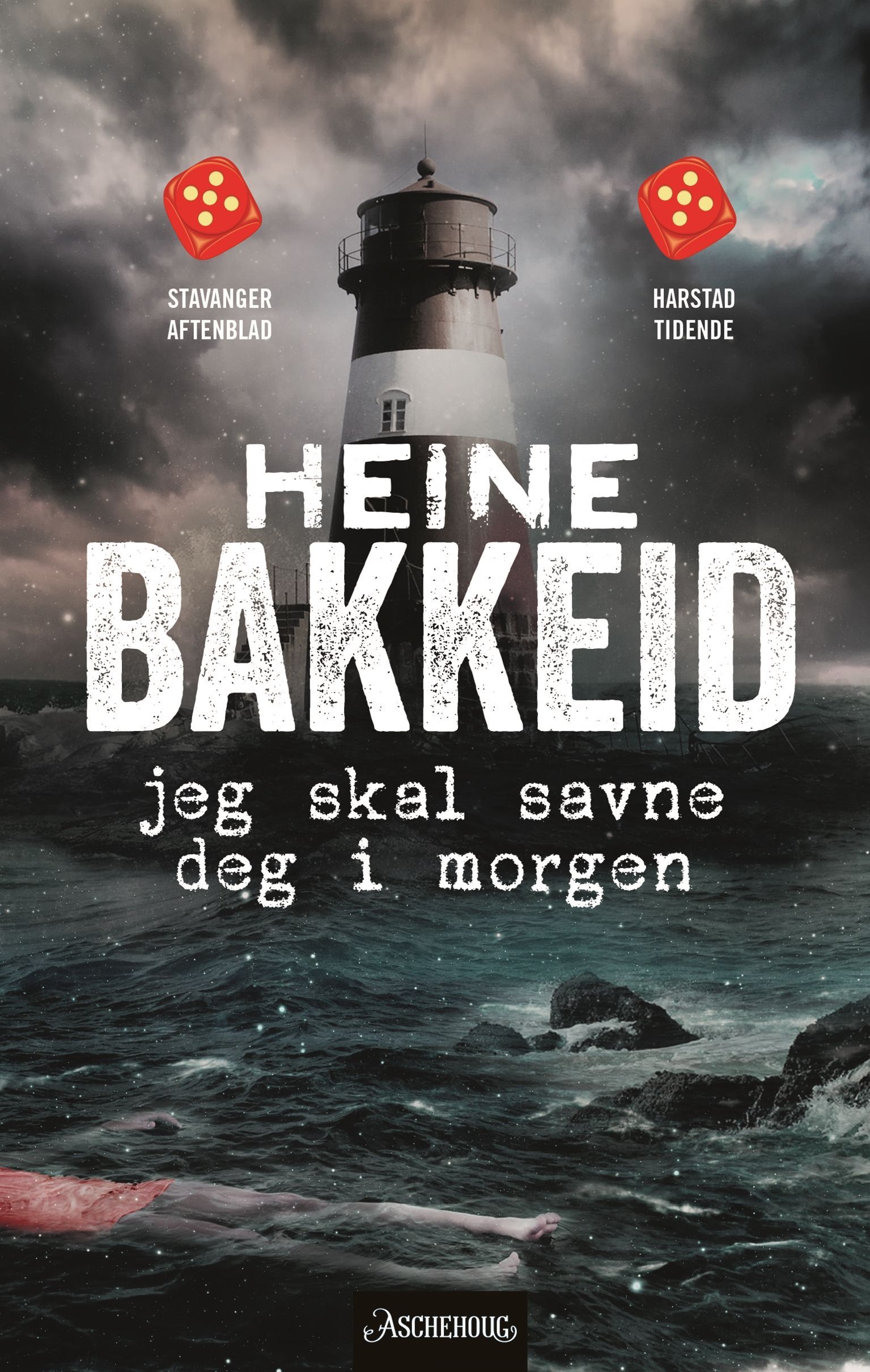 Jeg skal savne deg i morgen : kriminalroman