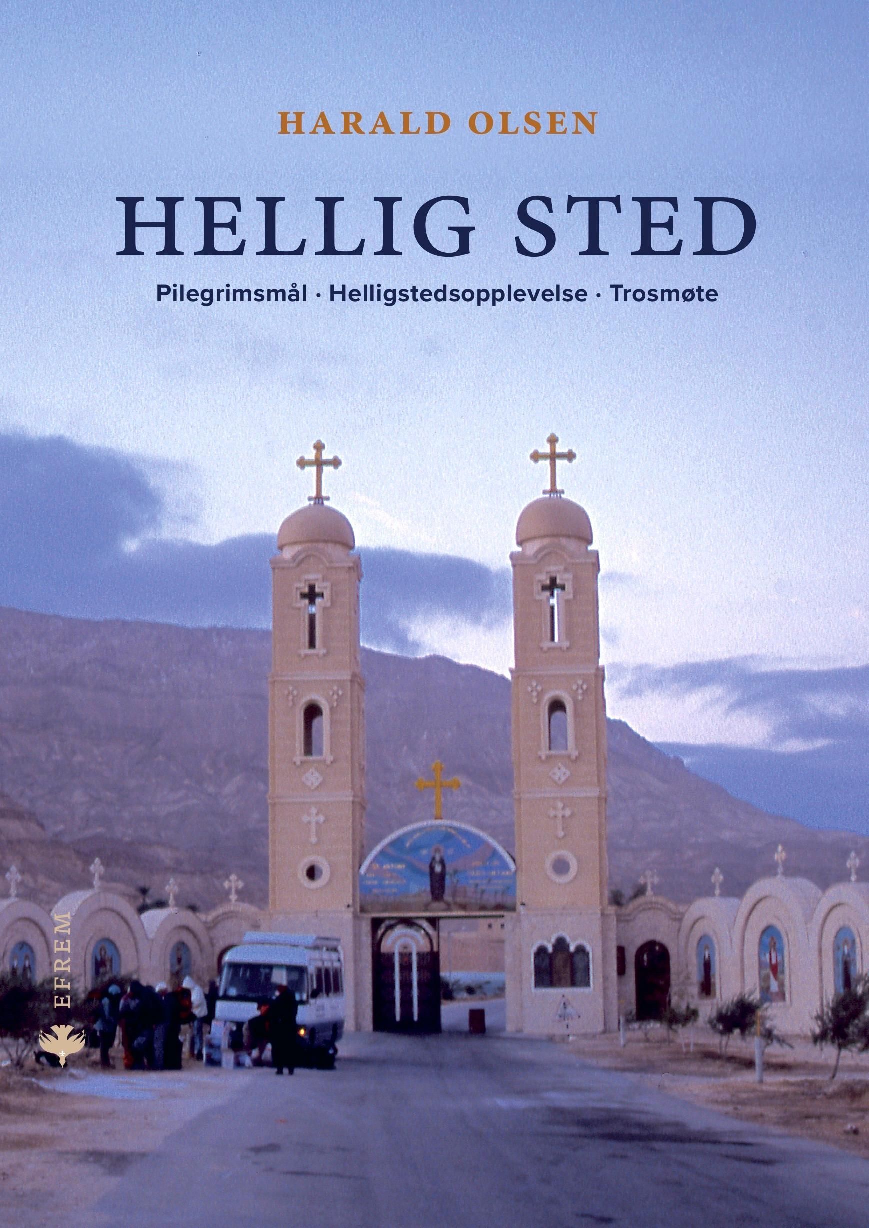 Hellig sted : pilegrimsmål, helligstedsopplevelse, trosmøte