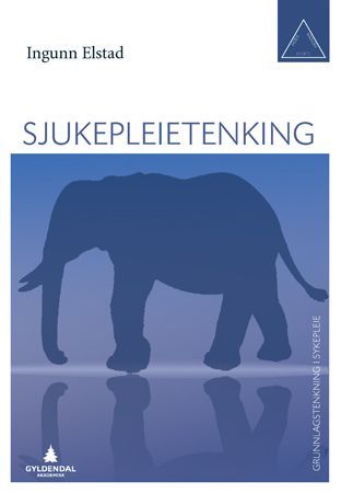 Grunnlagstenkning i sykepleie