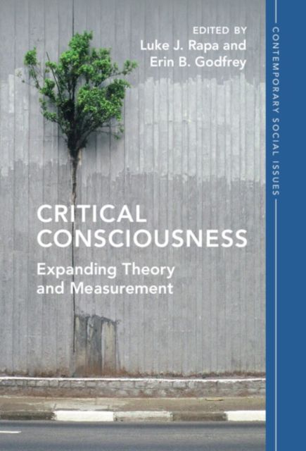 Critical Consciousness : Expanding Theory and Measurement