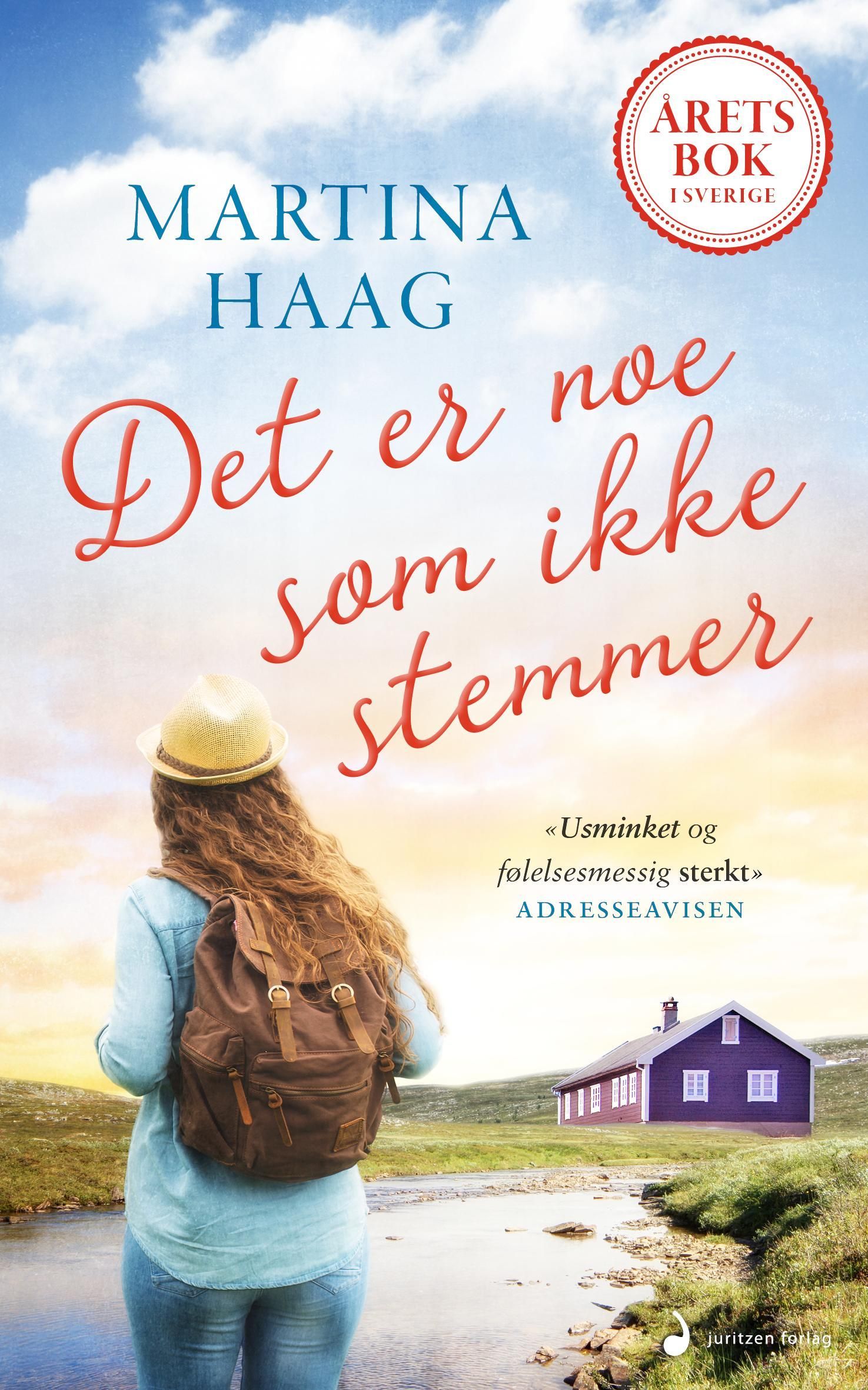 Det er noe som ikke stemmer : roman