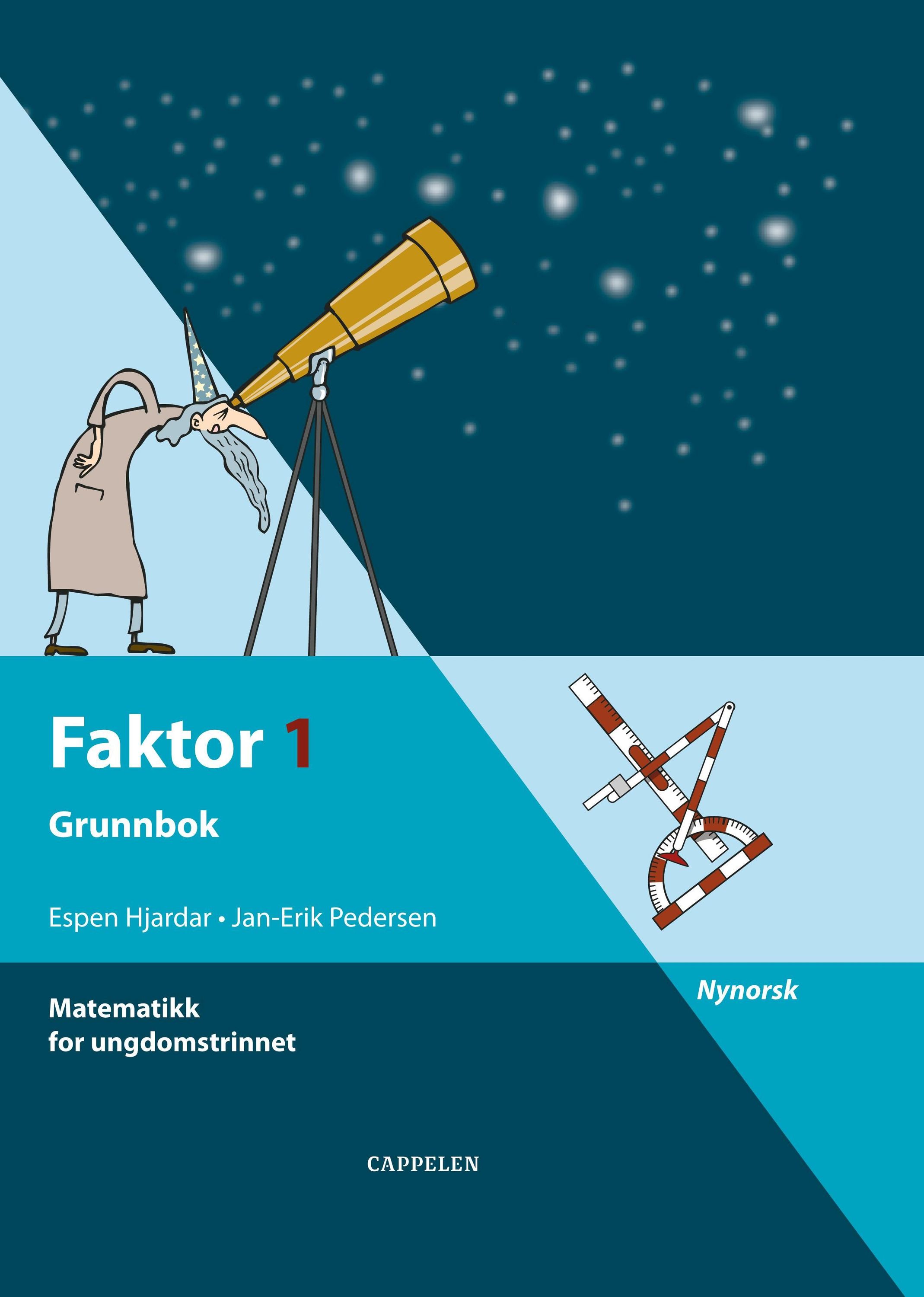 Faktor 1 : grunnbok : matematikk for ungdomstrinnet