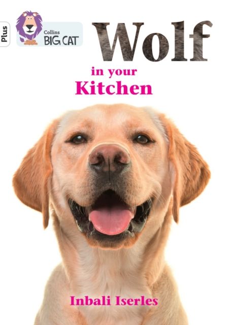 Wolf in your kitchen : Band 10+/White Plus