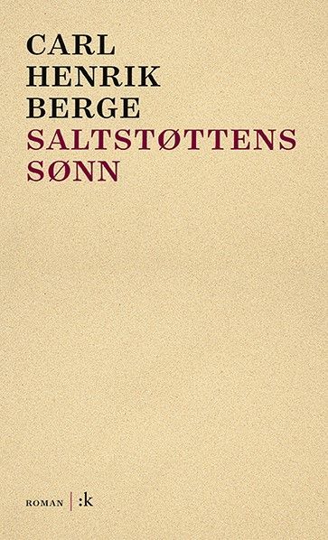 Saltstøttens sønn : roman