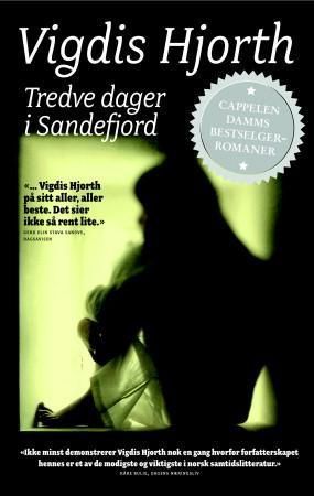 Tredve dager i Sandefjord : roman