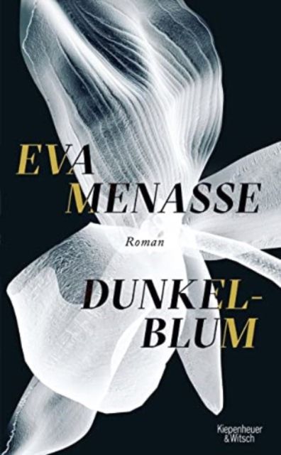 Dunkelblum : Roman
