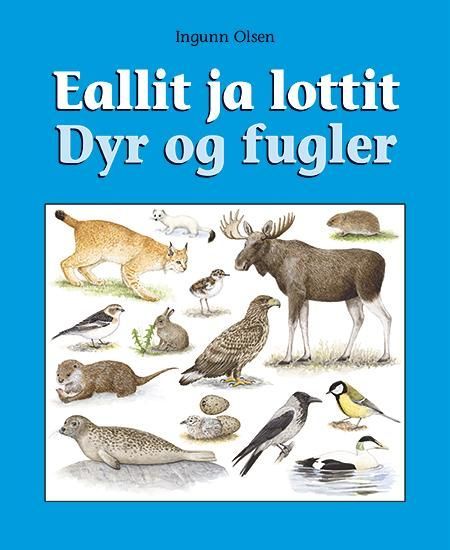 Eallit ja lottit
